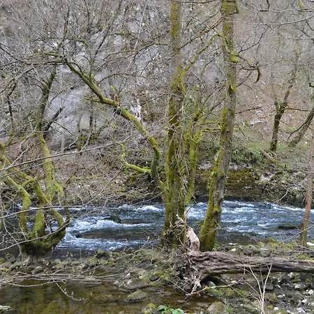 Apartma Nika Planina (Notranjska)