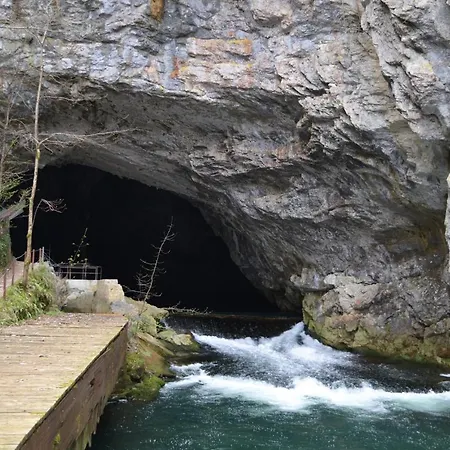 公寓 Apartma Nika Planina (Notranjska)