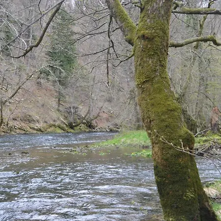 Apartma Nika * Planina (Notranjska)