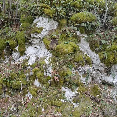 Apartma Nika Planina (Notranjska)