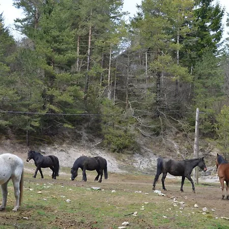 Apartma Nika Planina (Notranjska)