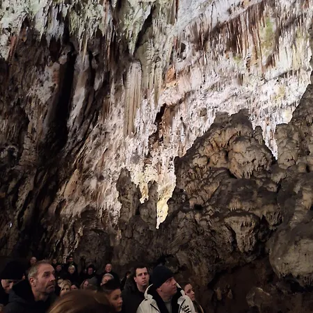 公寓 Apartma Nika Planina (Notranjska)