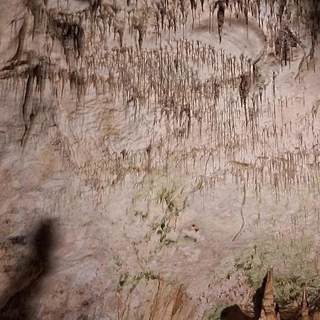 Apartmán Apartma Nika *