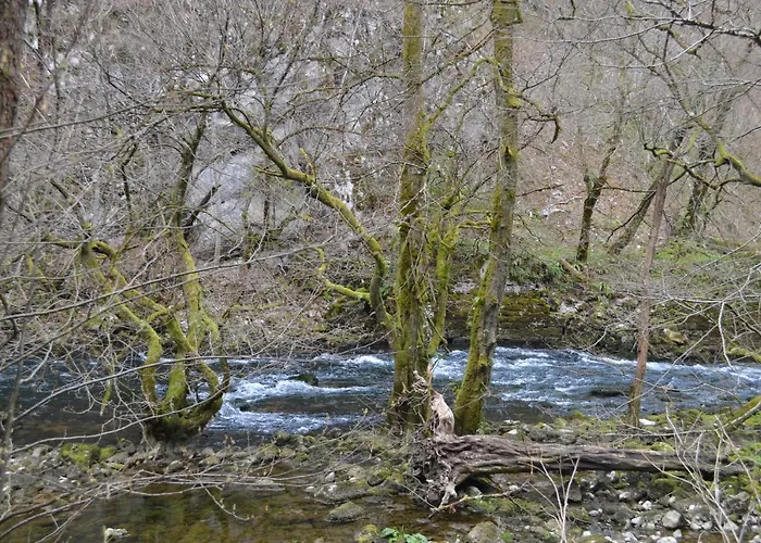 Apartma Nika Planina (Notranjska)