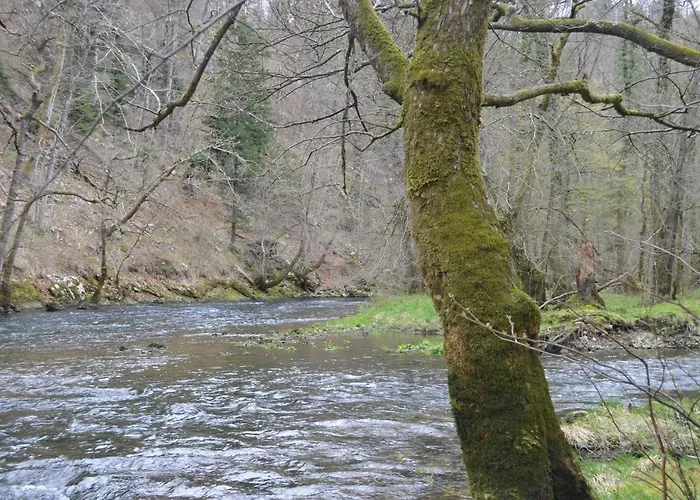 Apartma Nika * Planina (Notranjska)