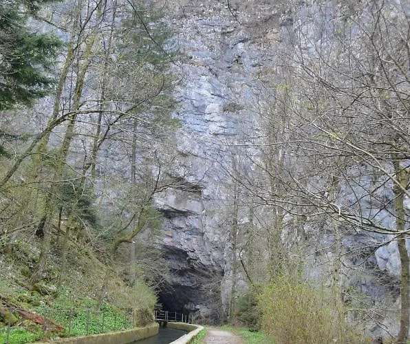 Apartma Nika شقة *