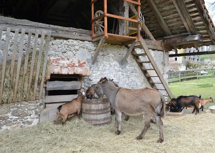 شقة Apartma Nika Planina (Notranjska)