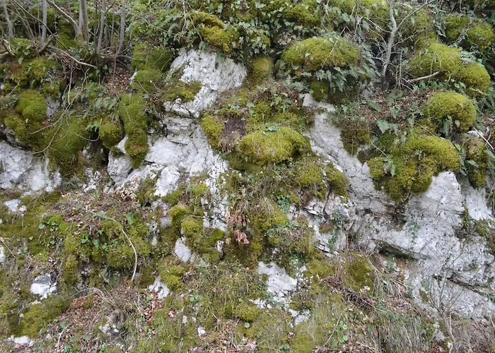 Apartma Nika Planina (Notranjska)