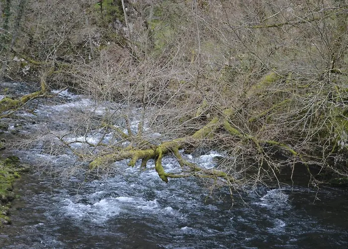 Apartma Nika شقة *