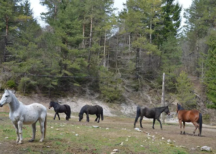 Apartma Nika Planina (Notranjska)
