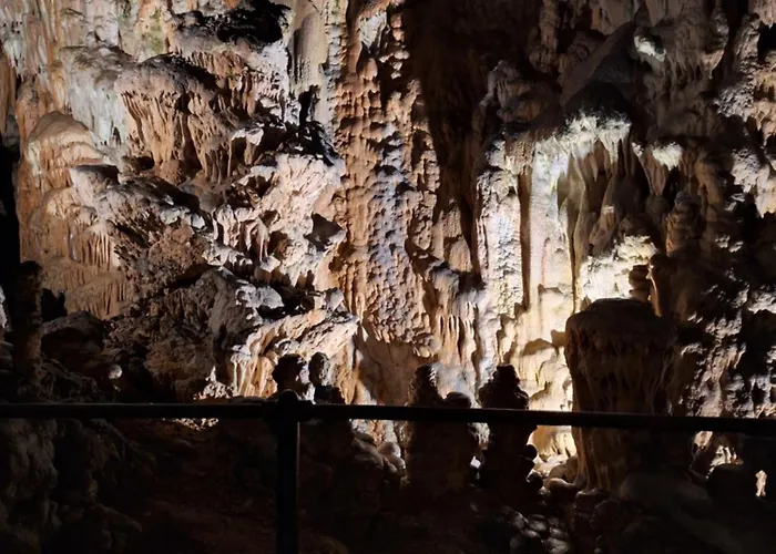 شقة Apartma Nika Planina (Notranjska)