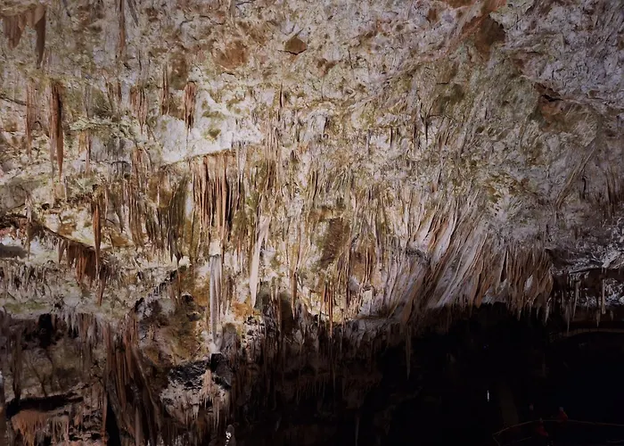 Apartma Nika * Planina (Notranjska)