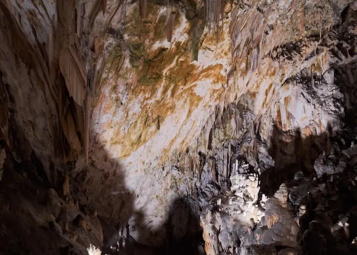 Apartma Nika شقة Planina (Notranjska)