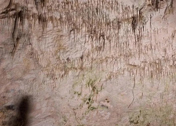 شقة Apartma Nika *